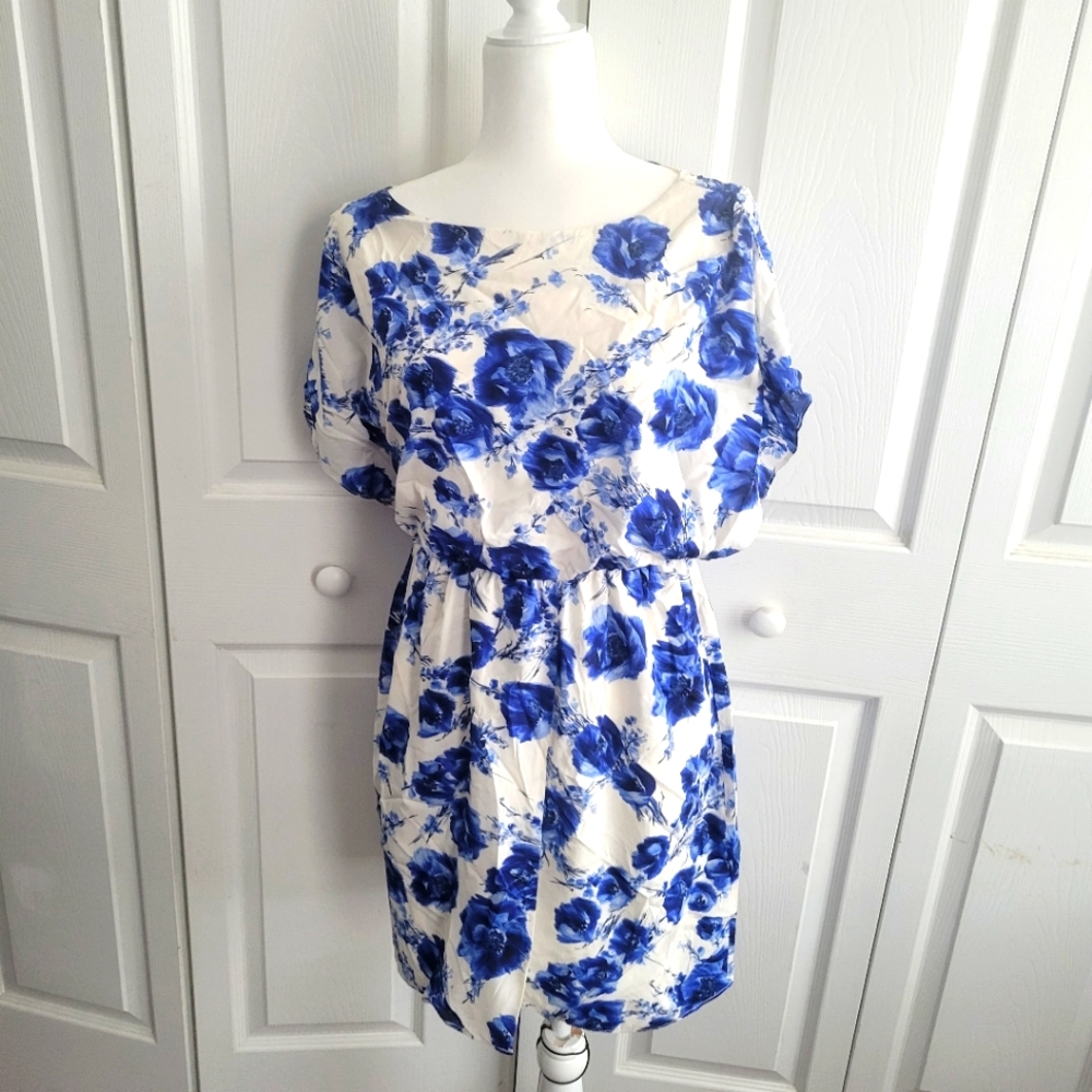 Alice + Olivia Silk Dress